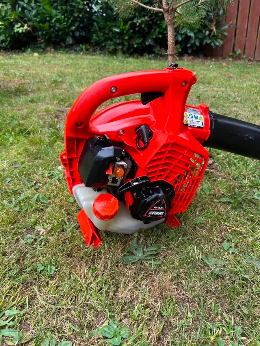 Echo PB-2520 Blower - Image 3