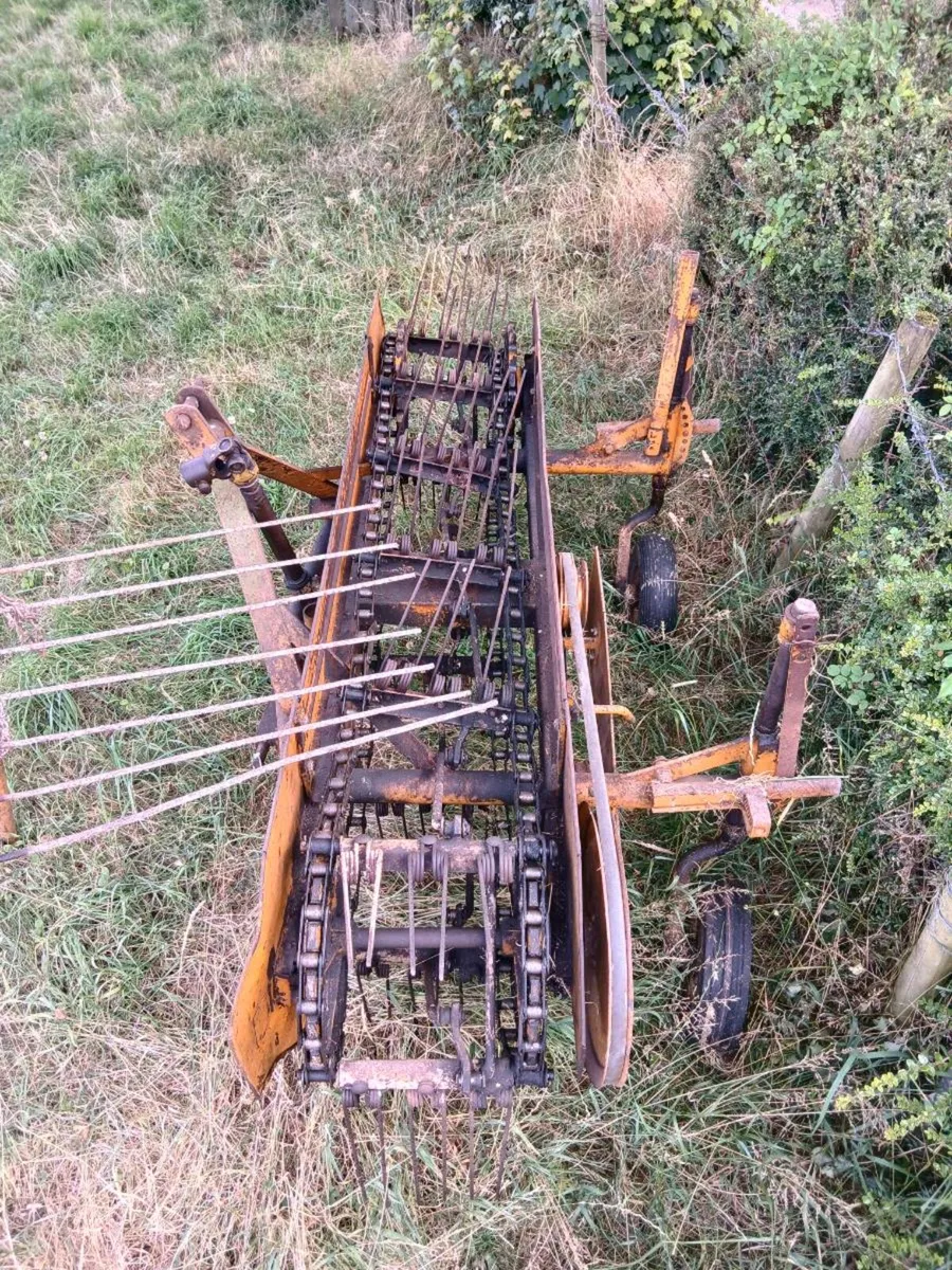 Pierce Hay Rake - Image 3