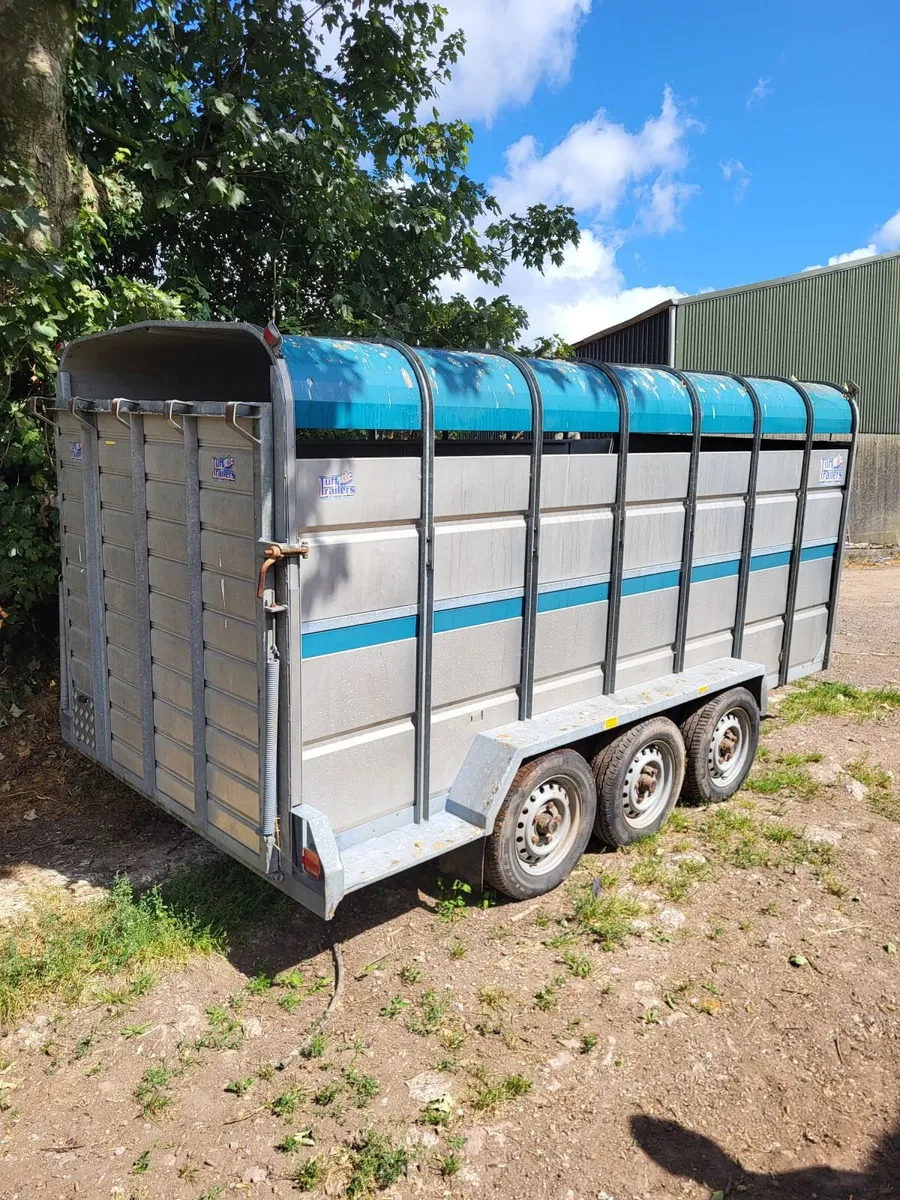 Tuff Mac 14x6 Tri axle cattle trailer - Image 1