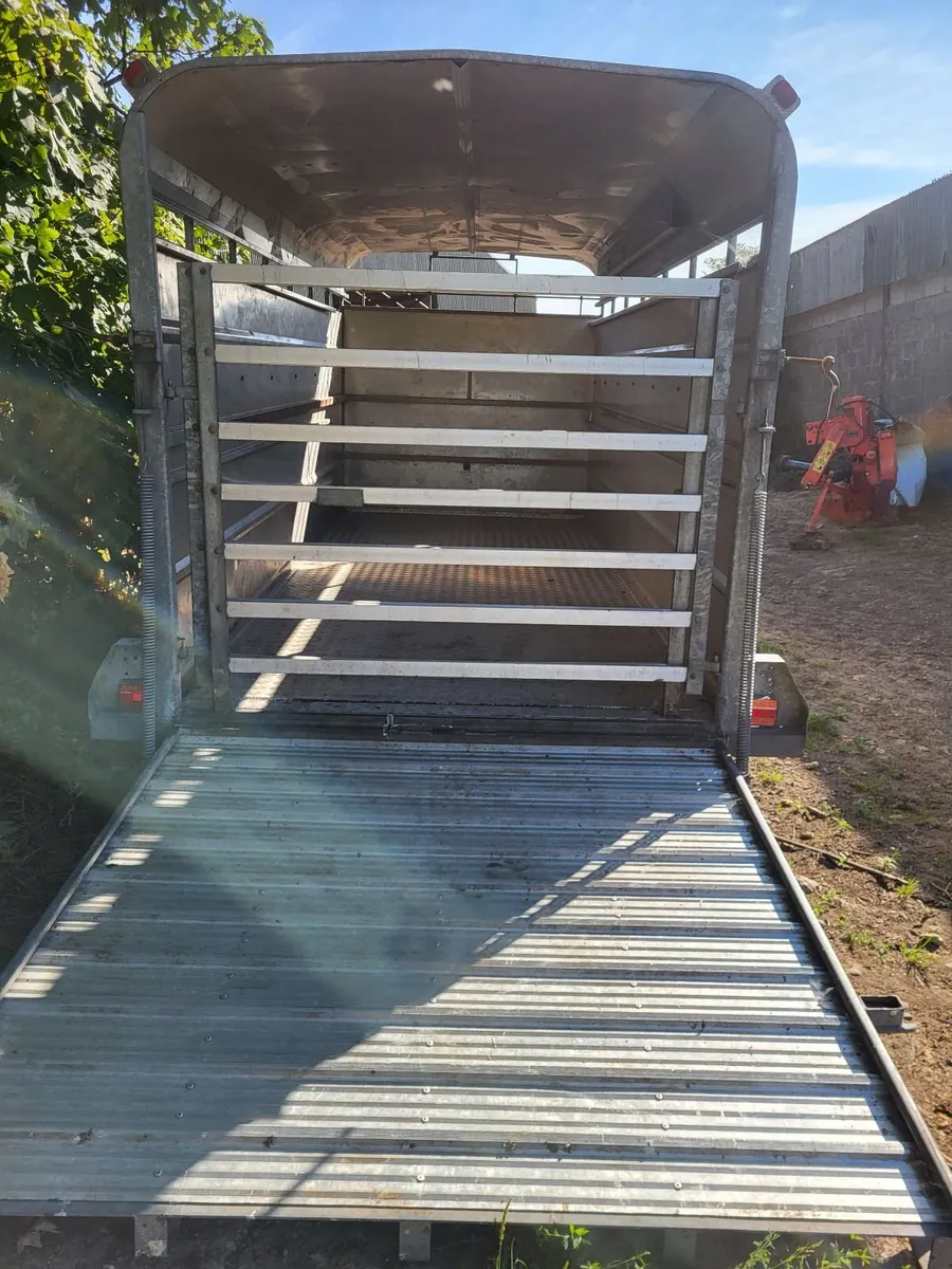 Tuff Mac 14x6 Tri axle cattle trailer - Image 3