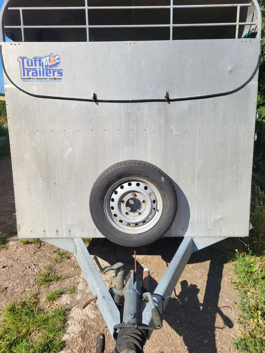 Tuff Mac 14x6 Tri axle cattle trailer - Image 4