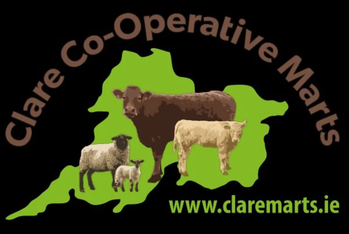 Ennis Mart Weanling Show & Sale Tuesday 25thAugust