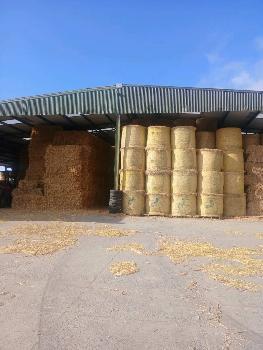 Hay and straw - Image 1