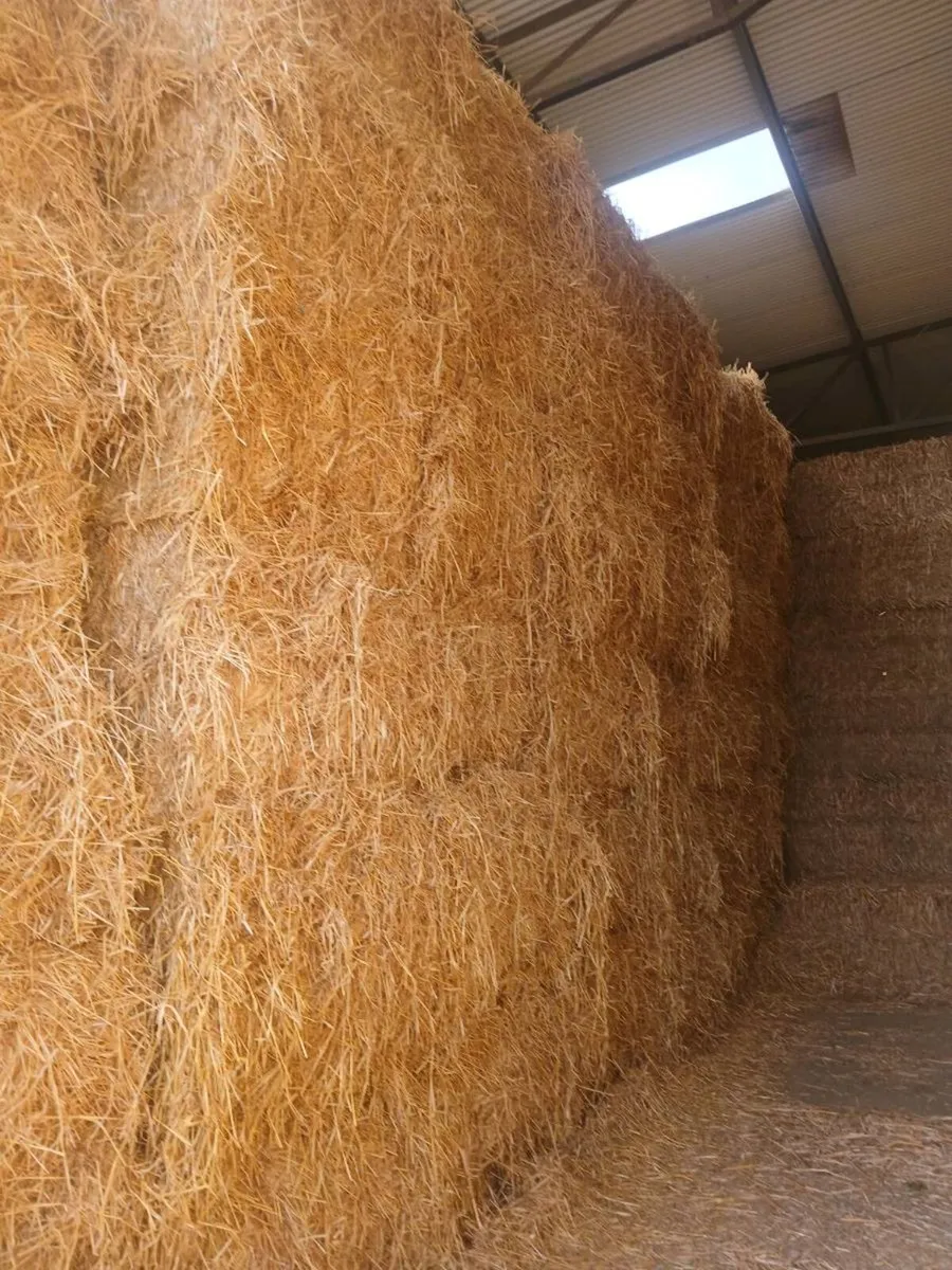 Hay and straw - Image 2