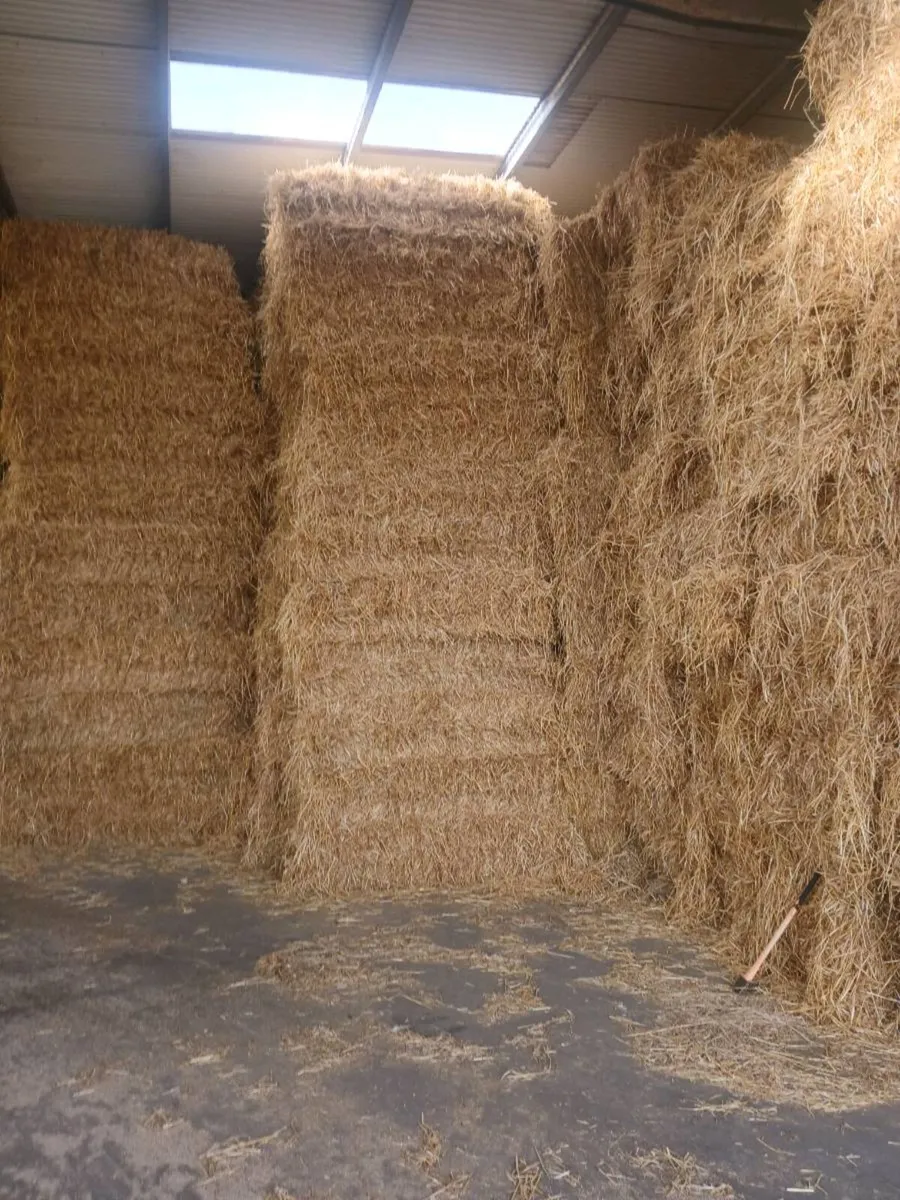 Hay and straw - Image 3