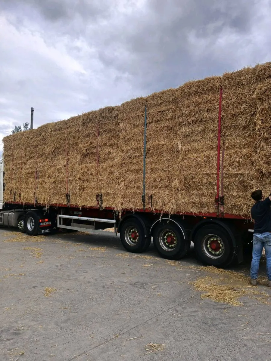 Hay and straw - Image 4