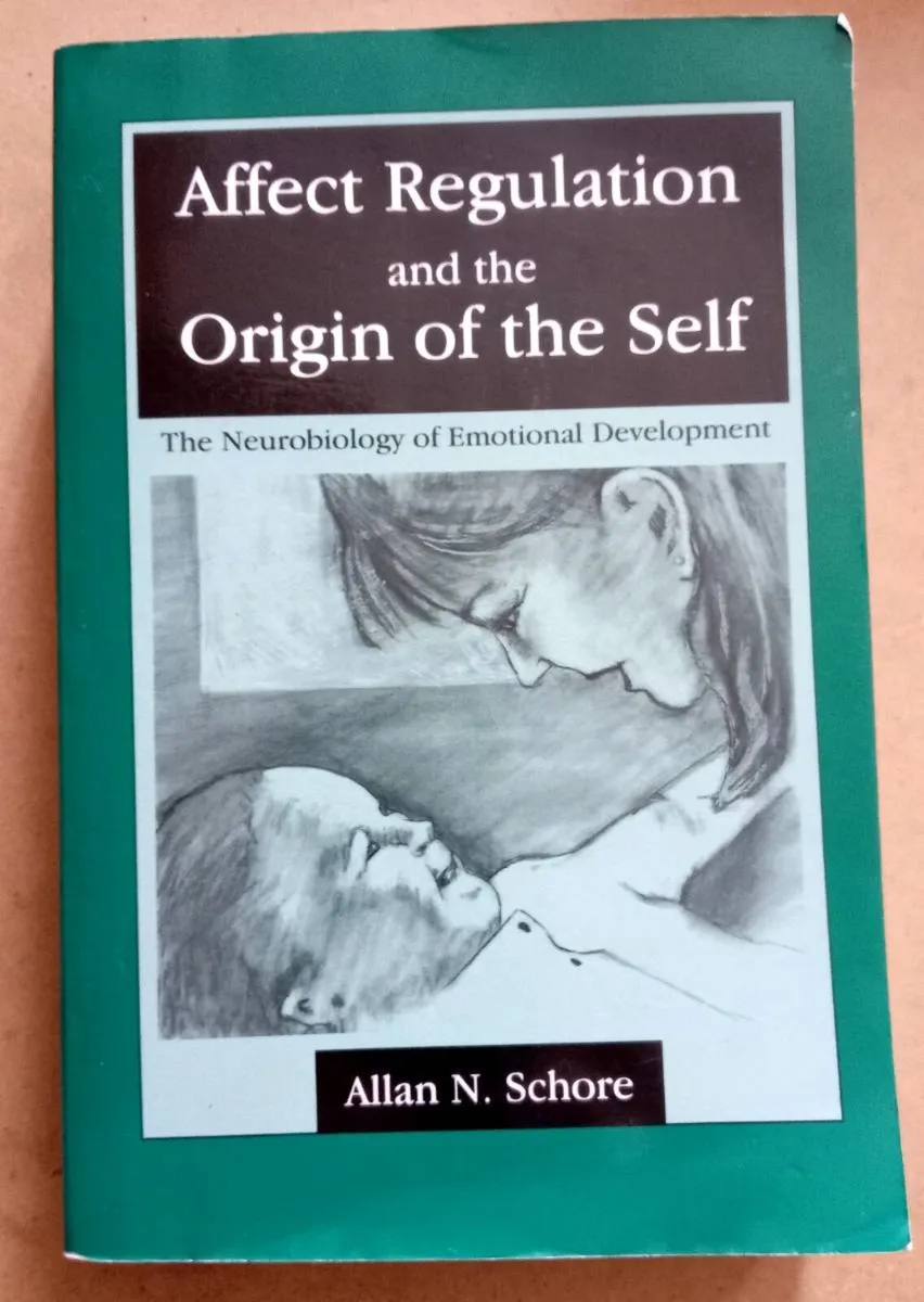 Affect Regulation/Origin of Self Book - Image 1