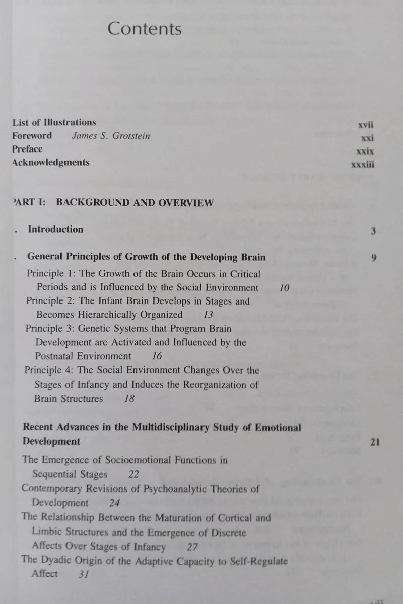 Affect Regulation/Origin of Self Book - Image 2