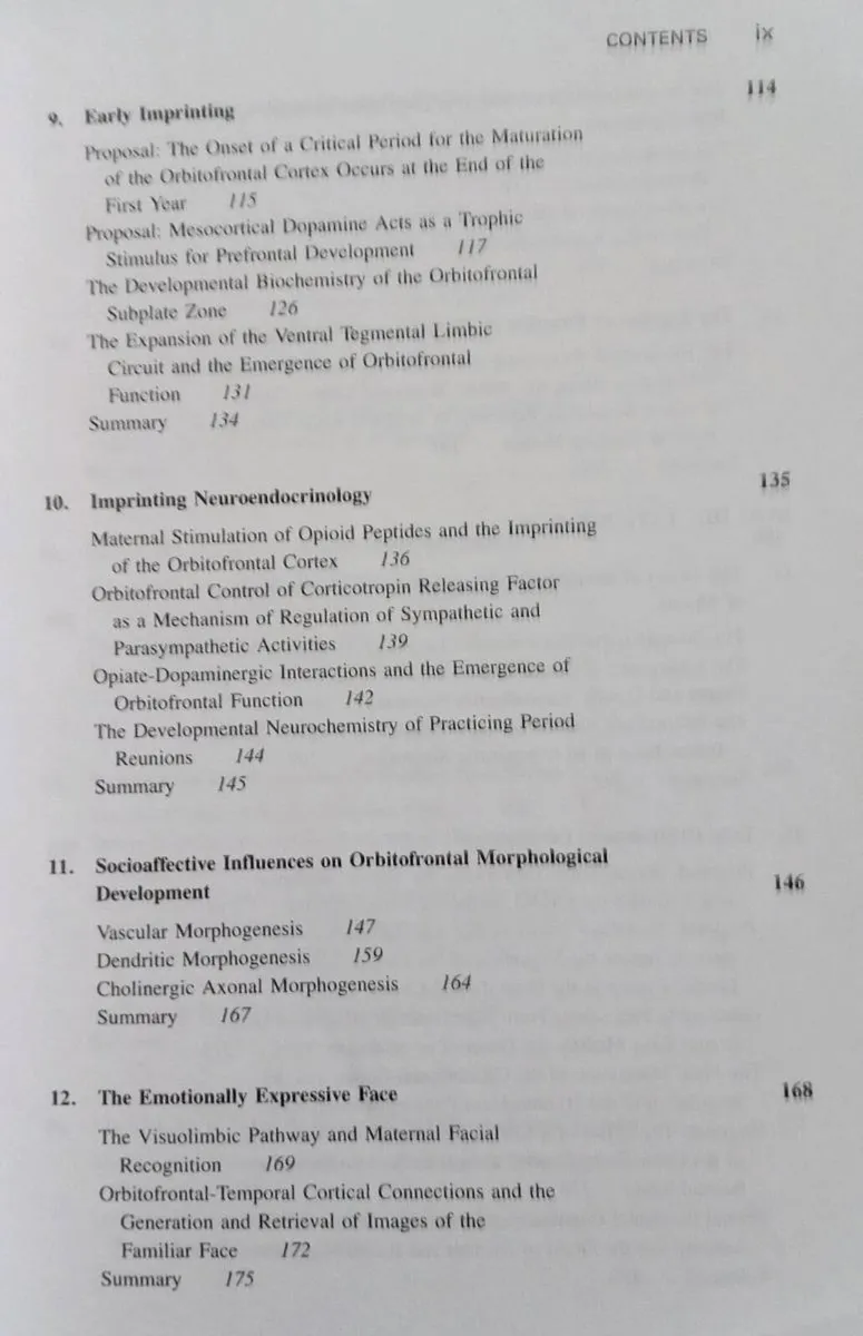 Affect Regulation/Origin of Self Book - Image 4