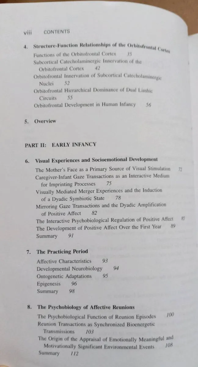 Affect Regulation/Origin of Self Book - Image 3