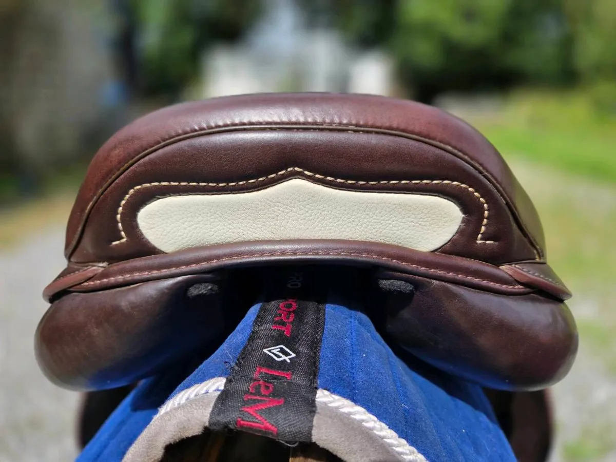 Prestige x contact jump saddle - Image 3
