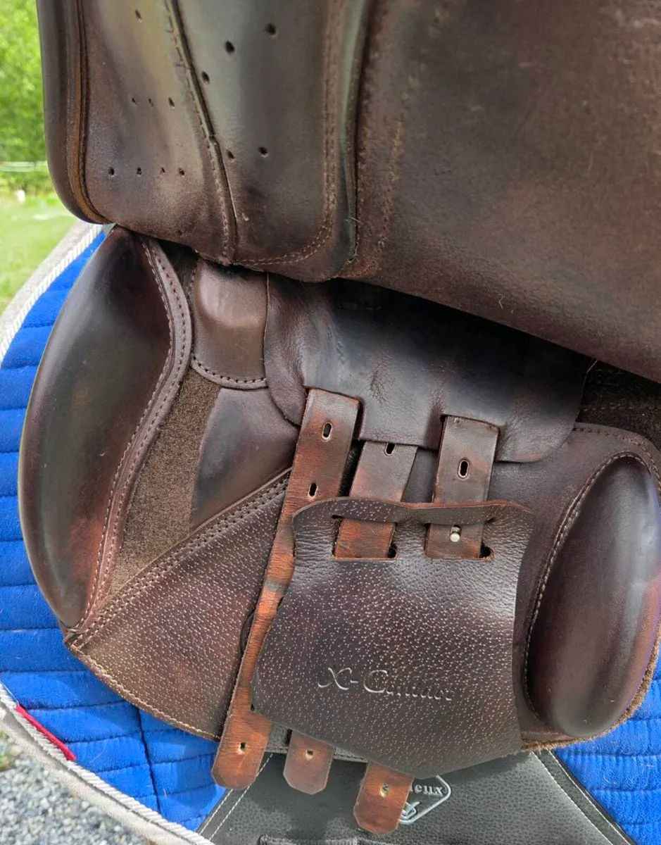 Prestige x contact jump saddle - Image 4