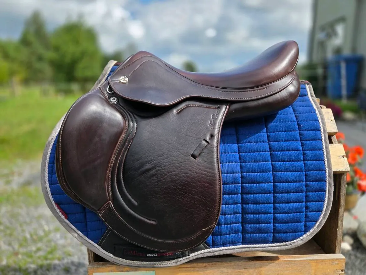 Prestige x contact jump saddle - Image 1