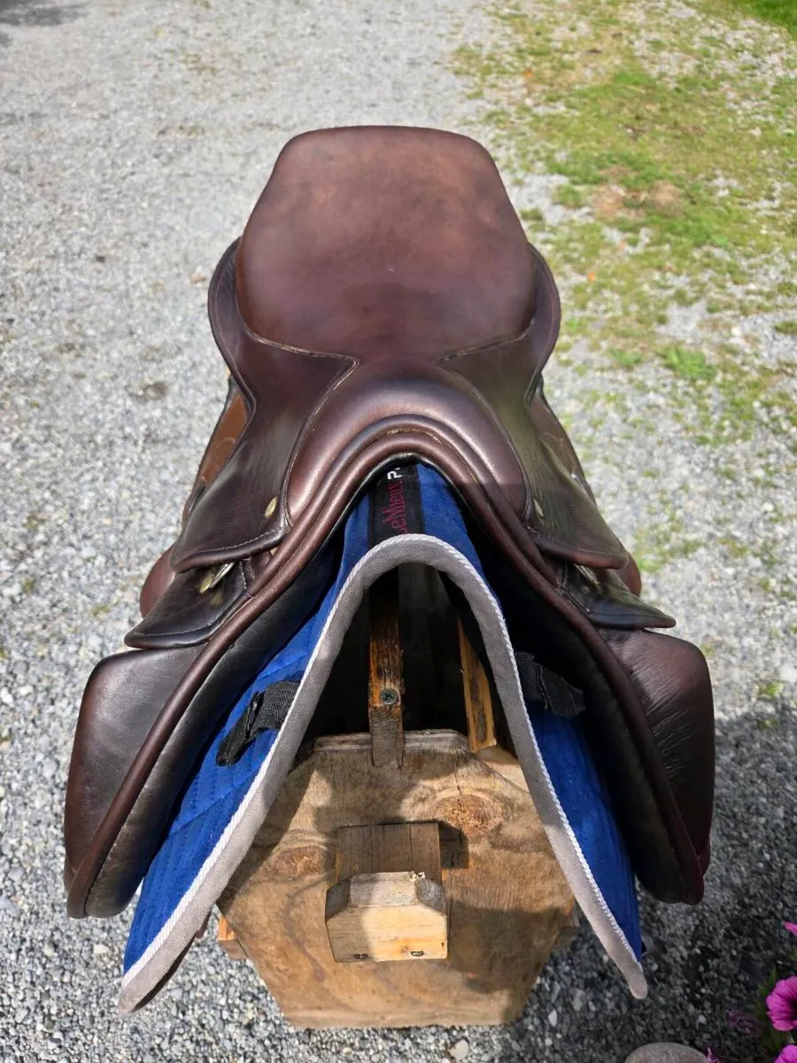 Berney International monoflap saddle - Image 2