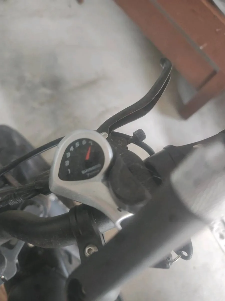 Electric Bicycle for Adults 48V Dual Battery. - Image 3