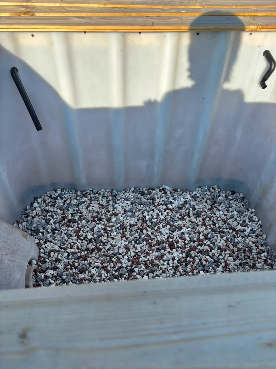 Fish pond - Image 3