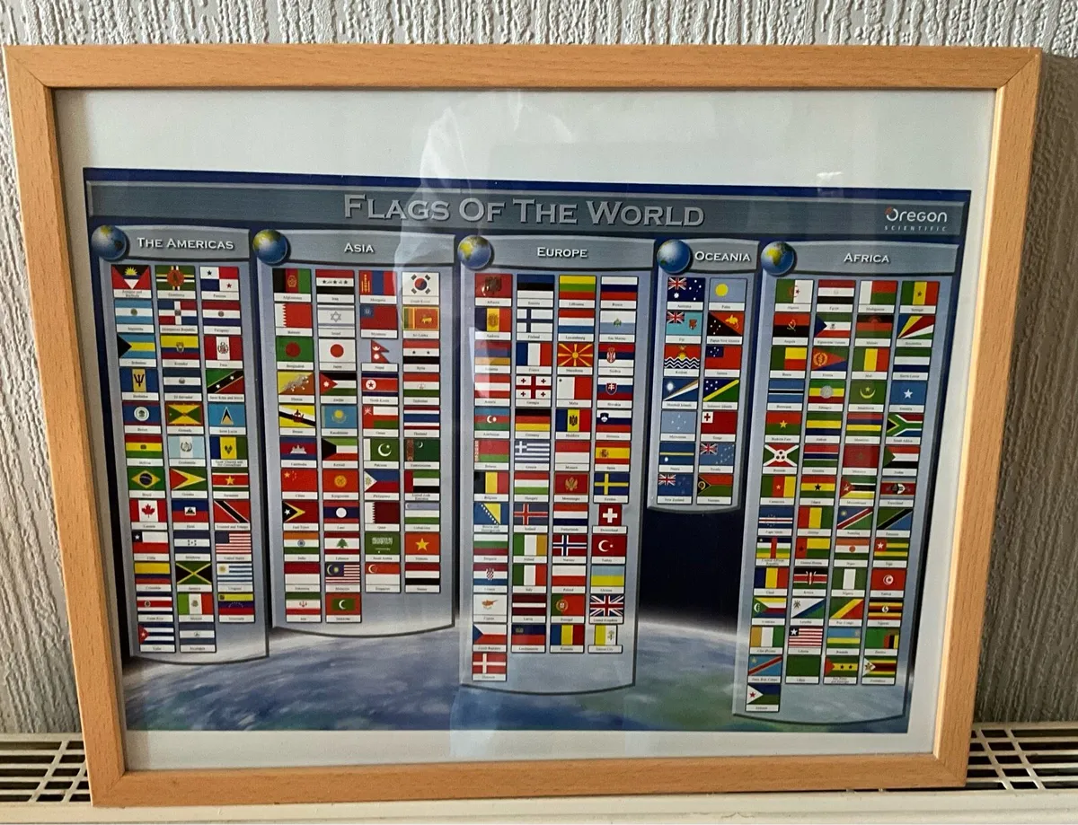 Flags of the World Framed Picture - Image 1