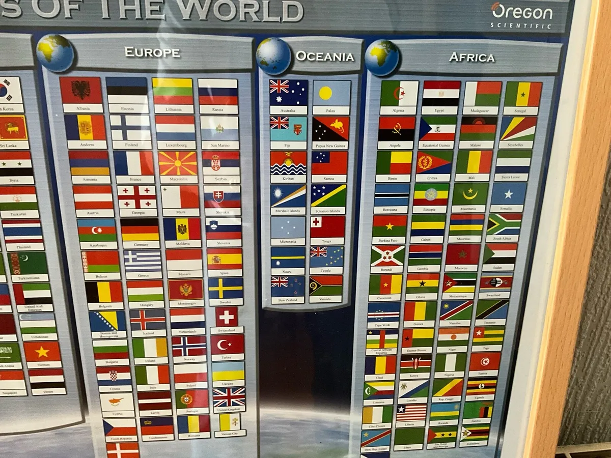 Flags of the World Framed Picture - Image 2