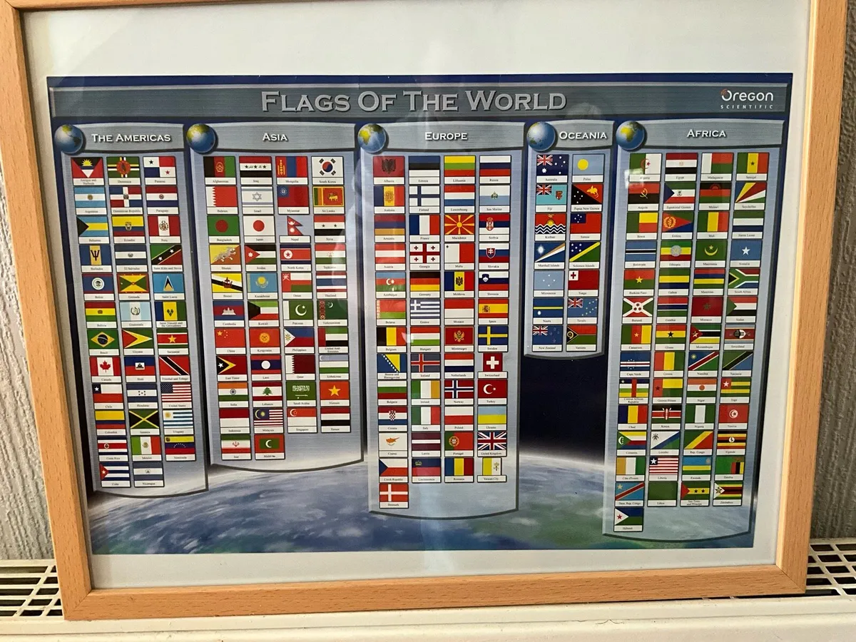 Flags of the World Framed Picture - Image 4