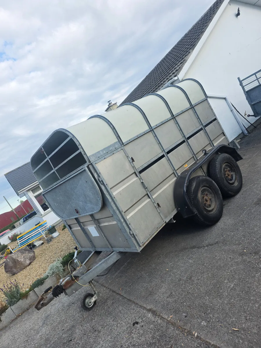 10ft murphy livestock trailer - Image 1