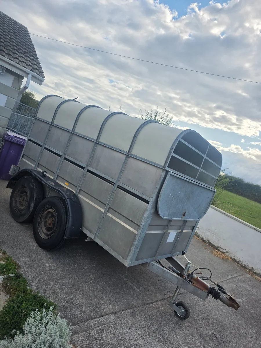 10ft murphy livestock trailer - Image 3