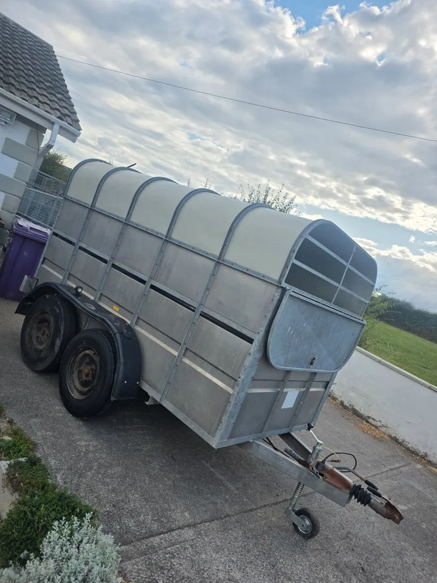 10ft murphy livestock trailer - Image 4