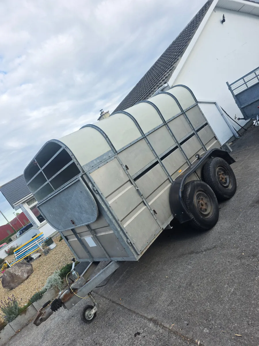 10ft murphy livestock trailer - Image 2