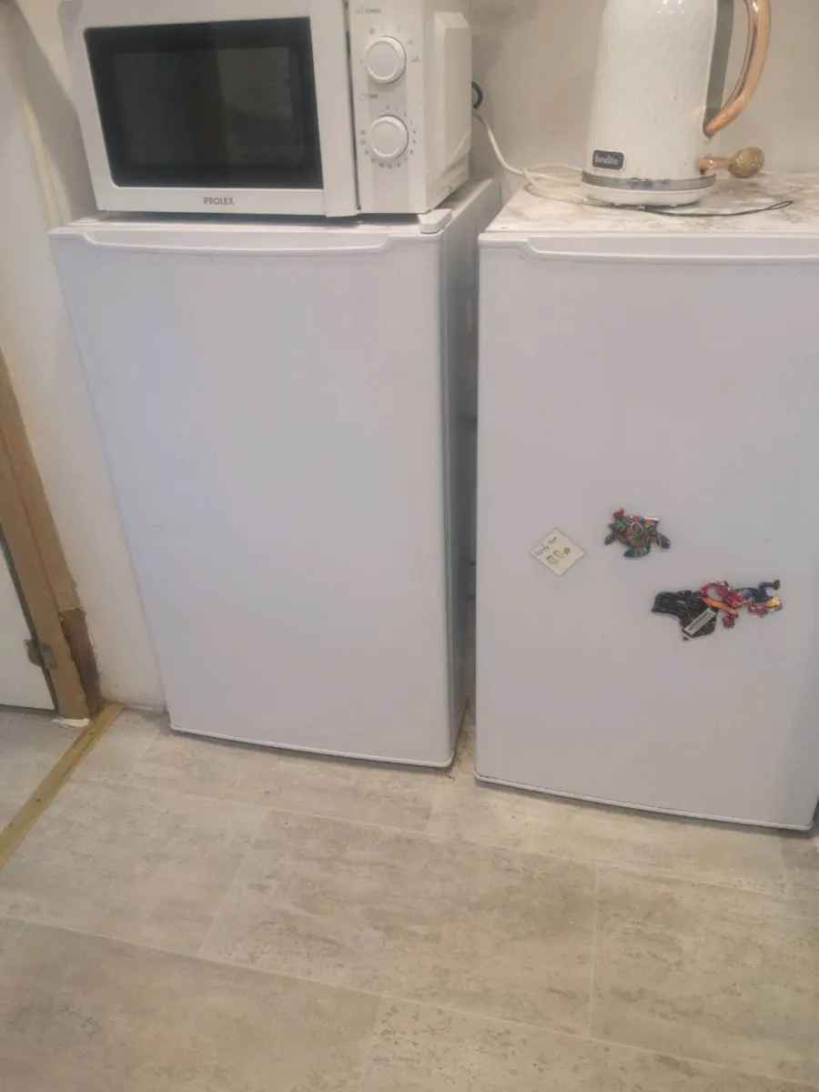 Fridge and freezer - Image 1