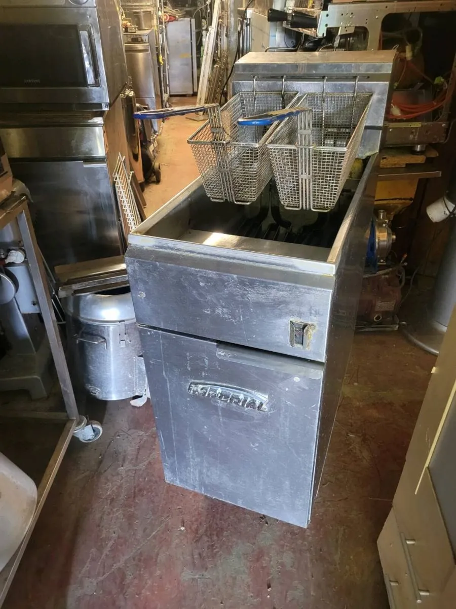 Fryer Electric Double Basket Fryer IMPERIAL - Image 1
