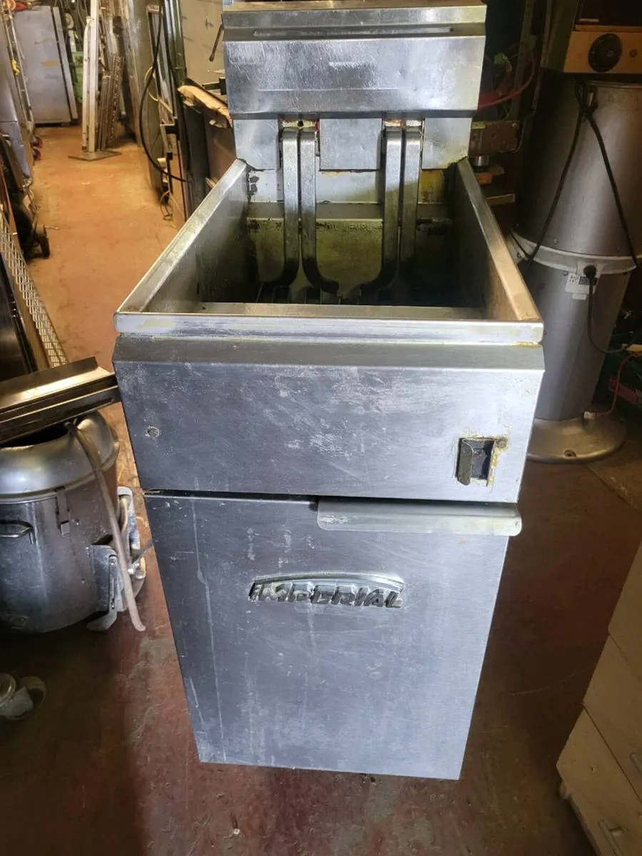 Fryer Electric Double Basket Fryer IMPERIAL - Image 2