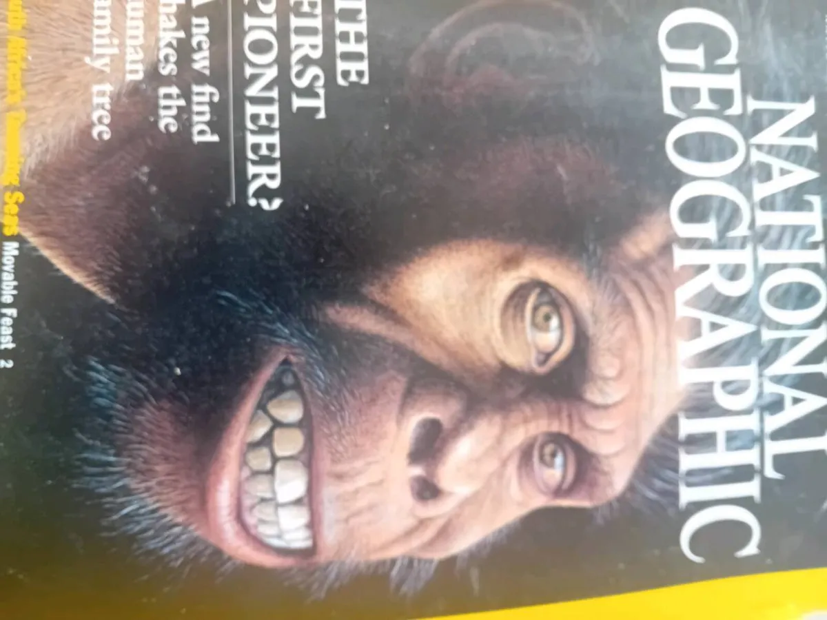 National Geographic Magazines - Image 2