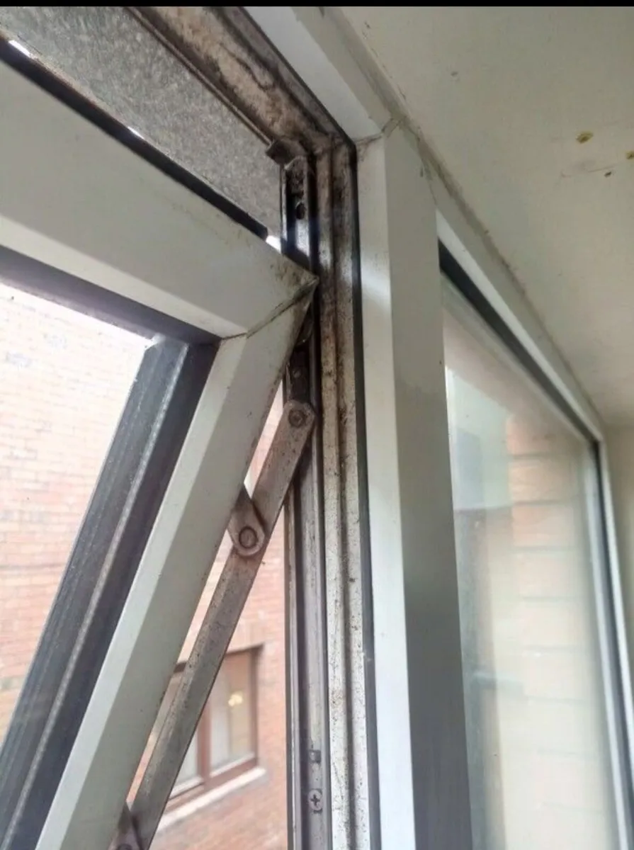 Window and door repairs - Image 4