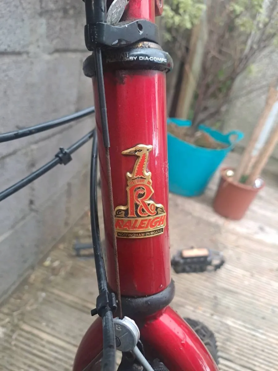 Raleigh m-trax ti 1000 - Image 1
