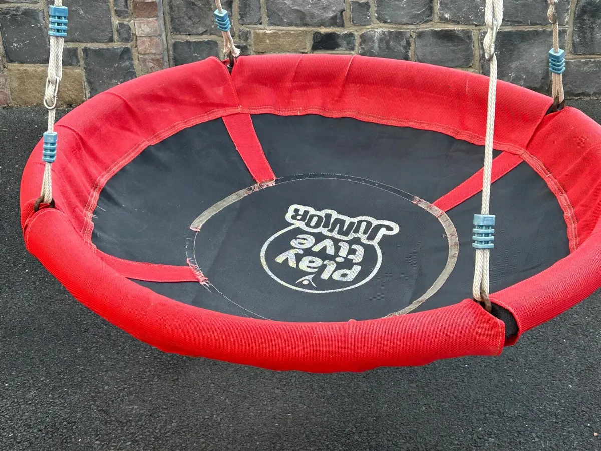 Play swings- free local delivery - Image 3