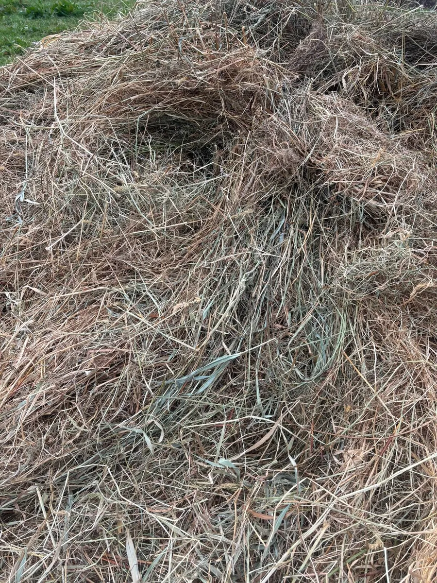Feeding/Bedding - Image 1
