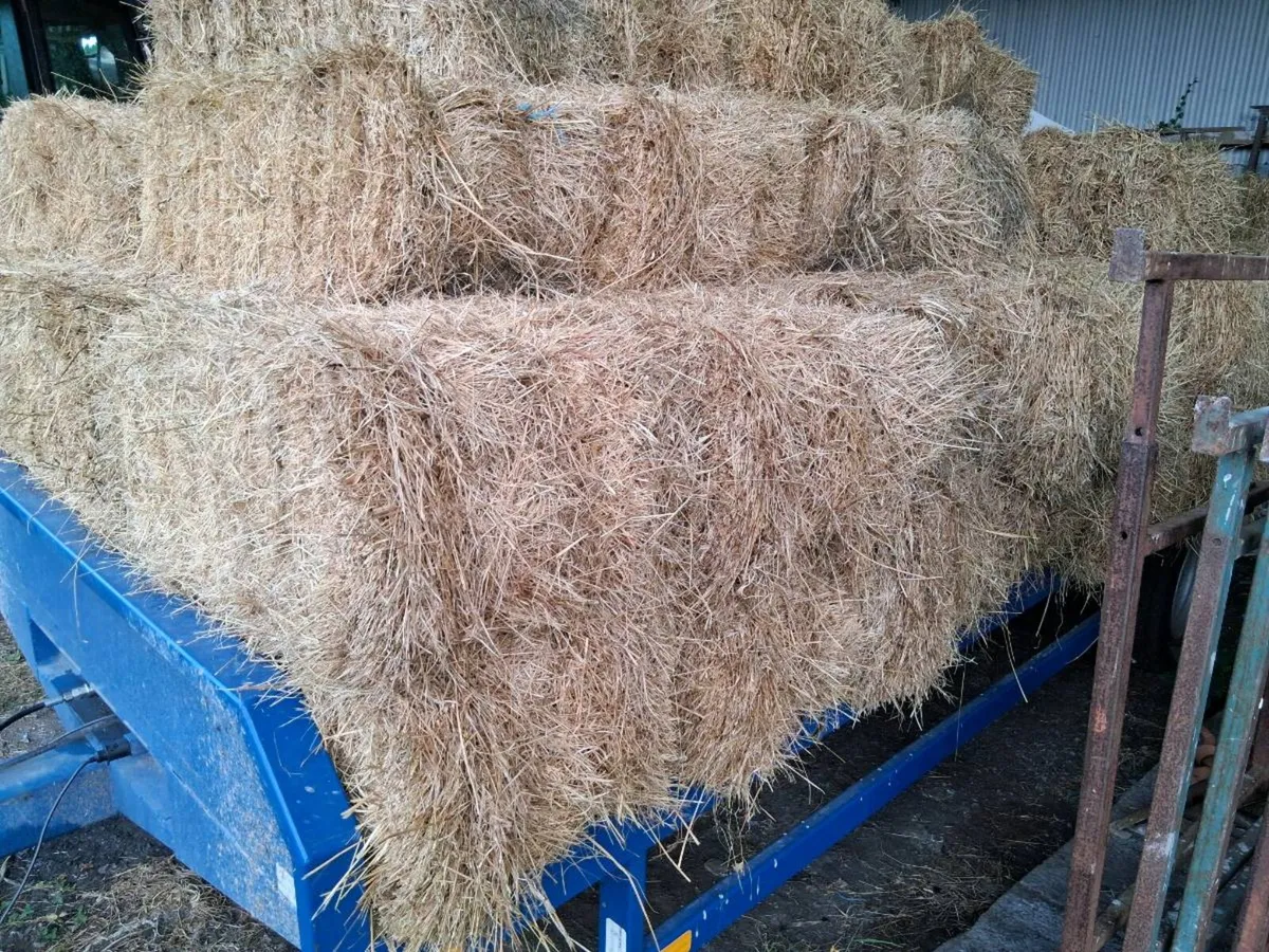 Hay ,square bales - Image 3