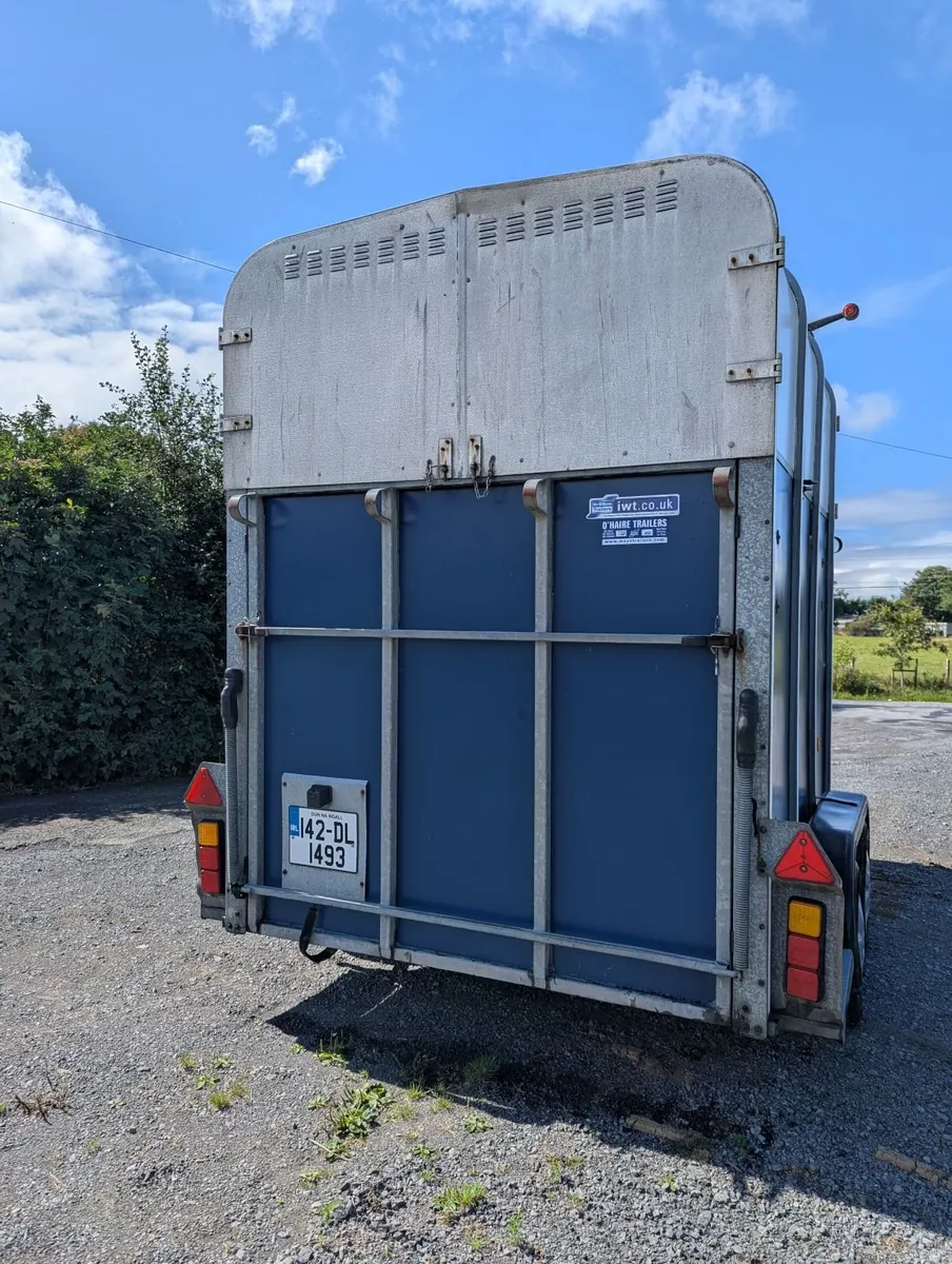 IFor Williams 510 Horse box - Image 4