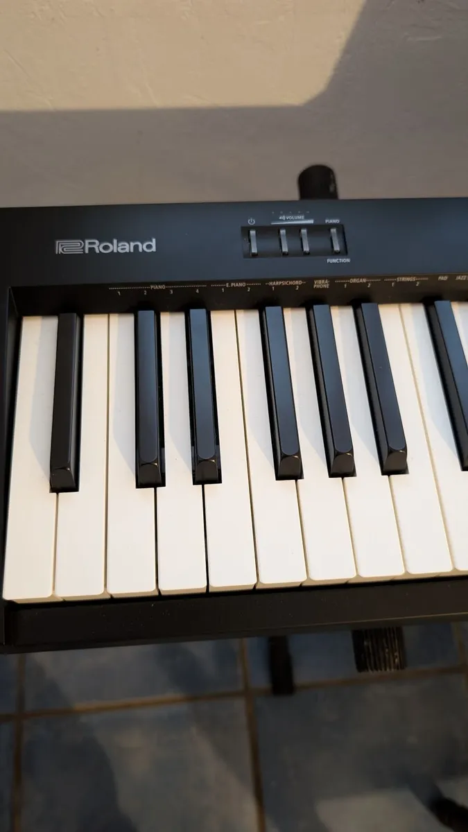 Roland FP-10 Digital Piano - Image 2