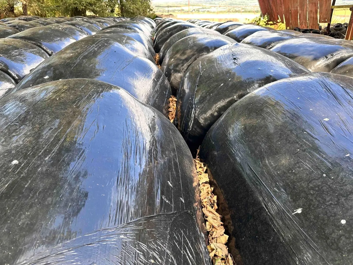 Silage, hay and straw bales - Image 1