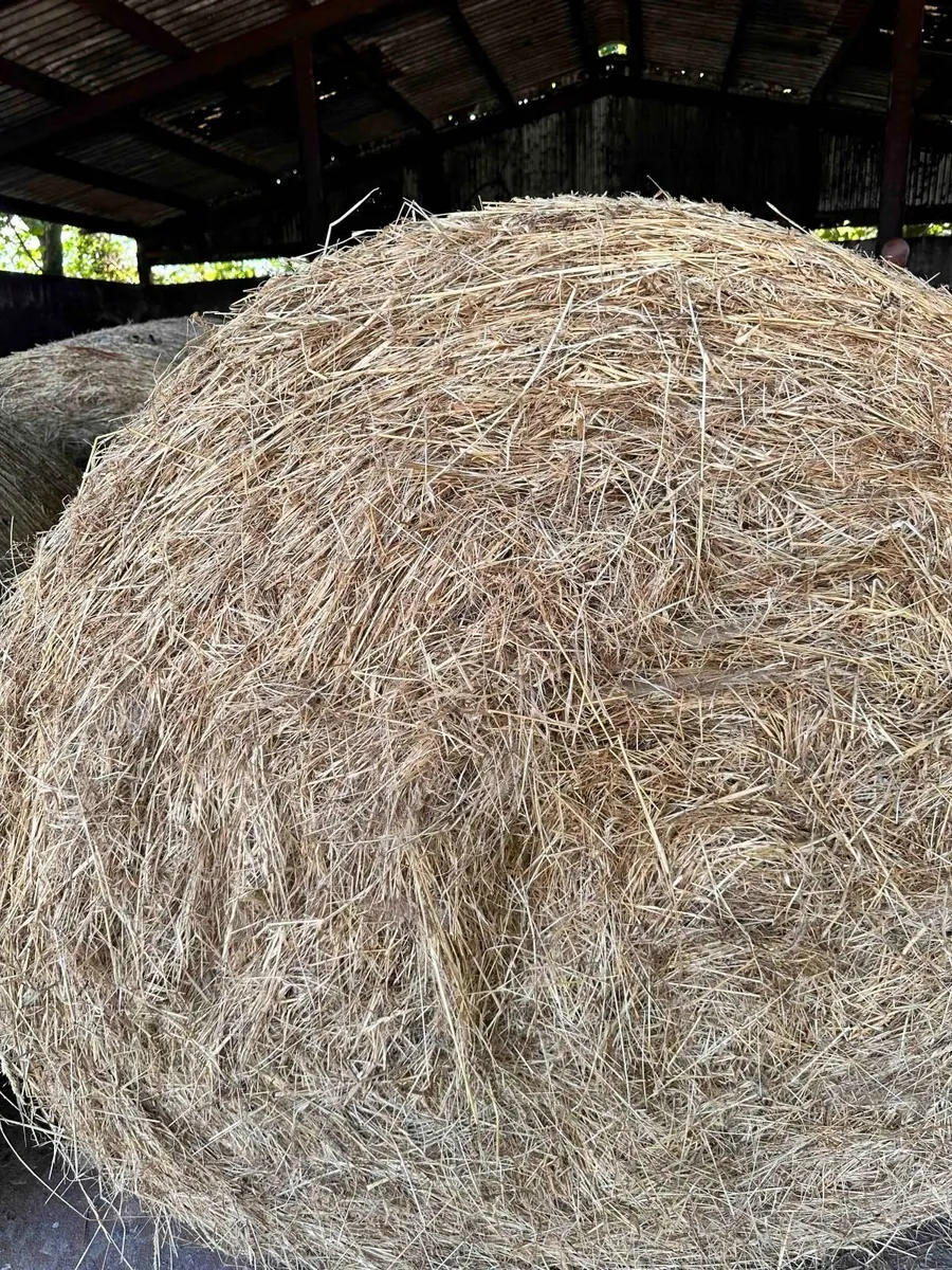 Silage, hay and straw bales - Image 2