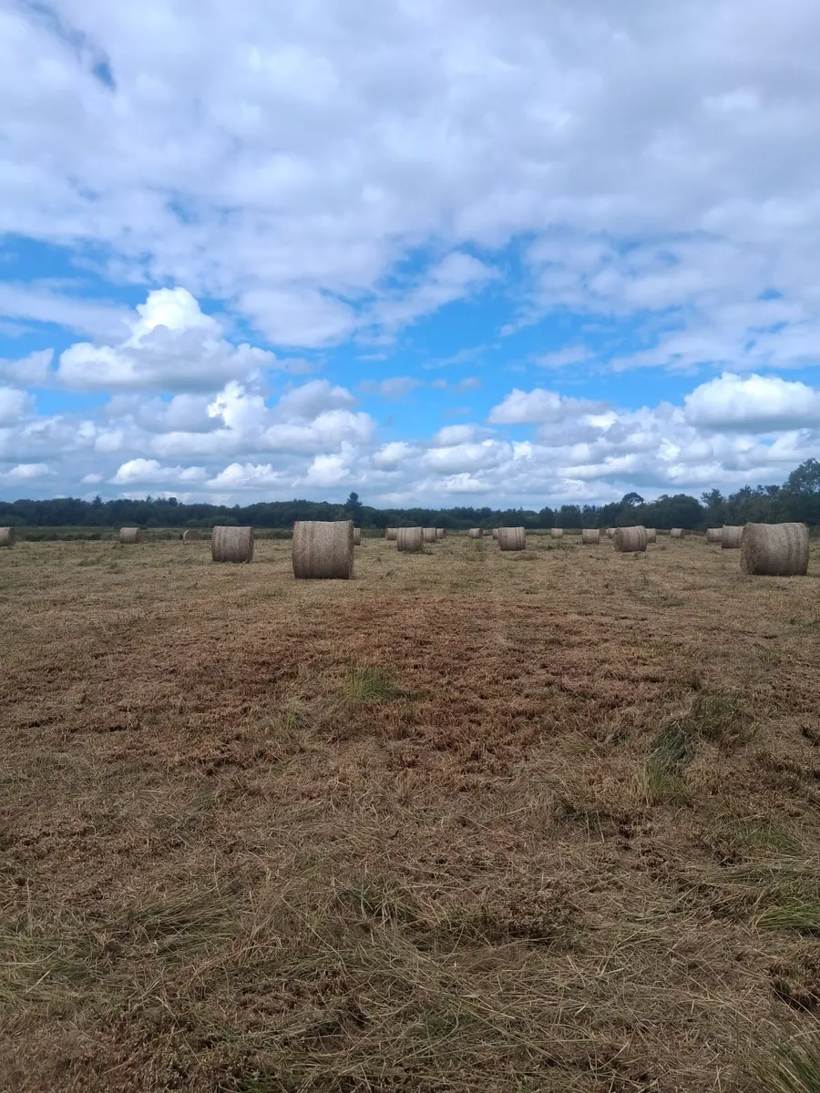 Baled Rushes