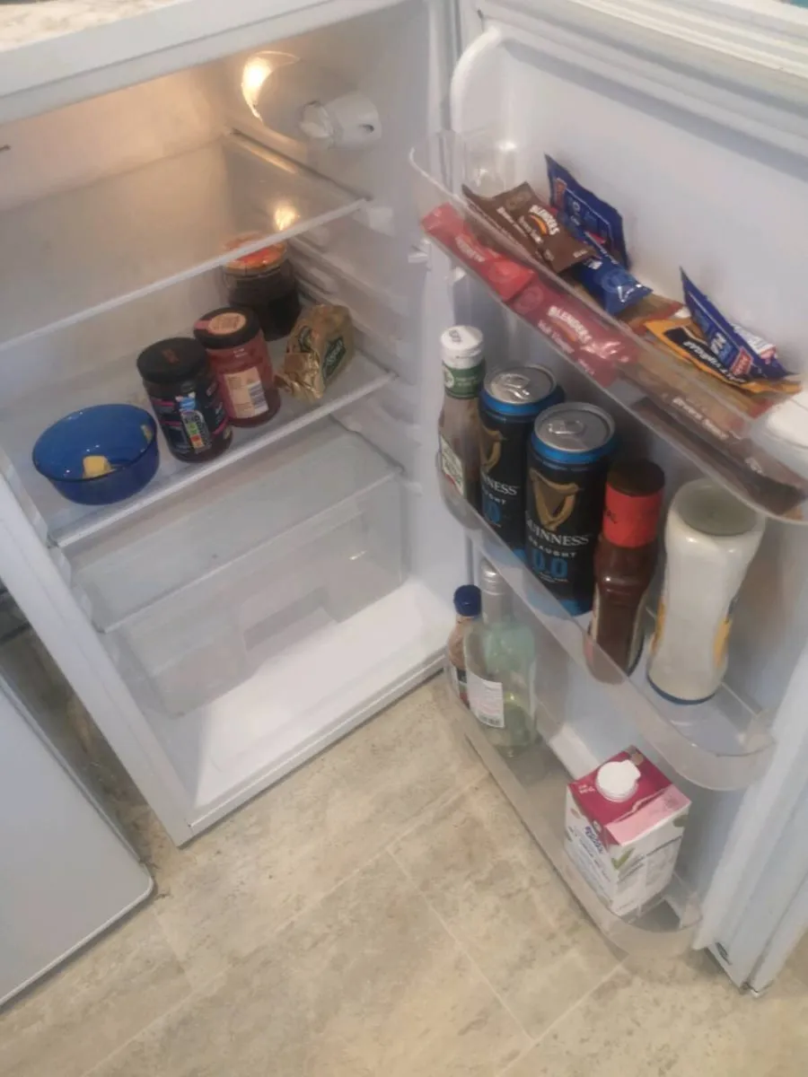 Fridge and freezer - Image 2
