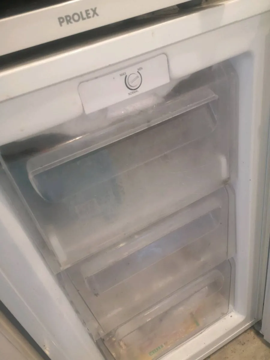Fridge and freezer - Image 3