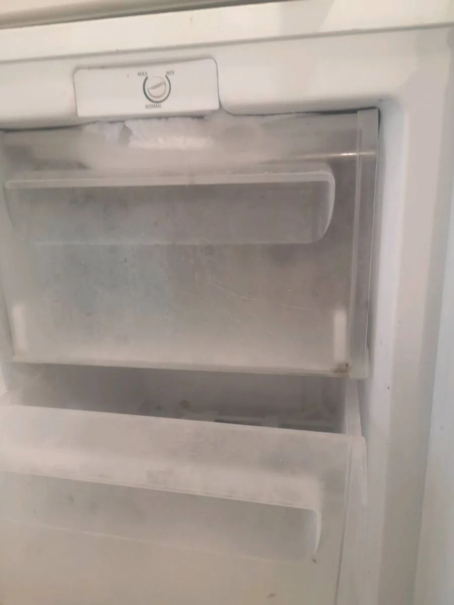 Fridge and freezer - Image 4