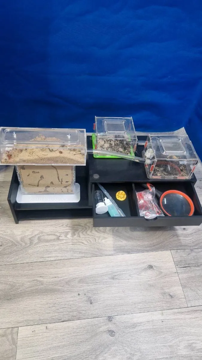 Complete Ant Farm - Image 2