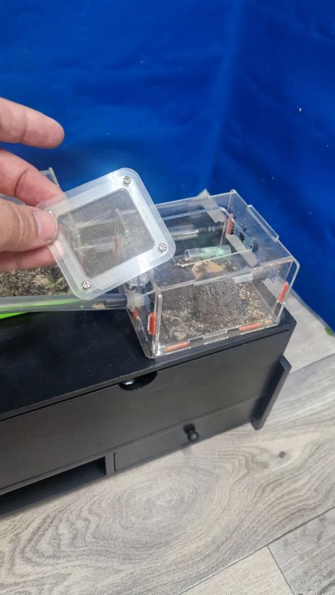 Complete Ant Farm - Image 3