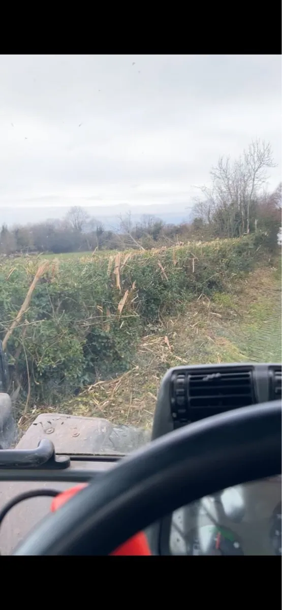 Hedgecutting - Image 3