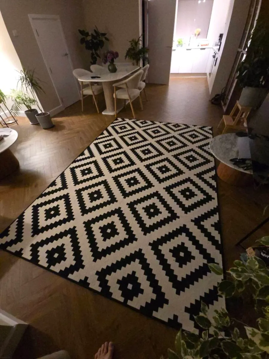 Ikea Rug - Image 1