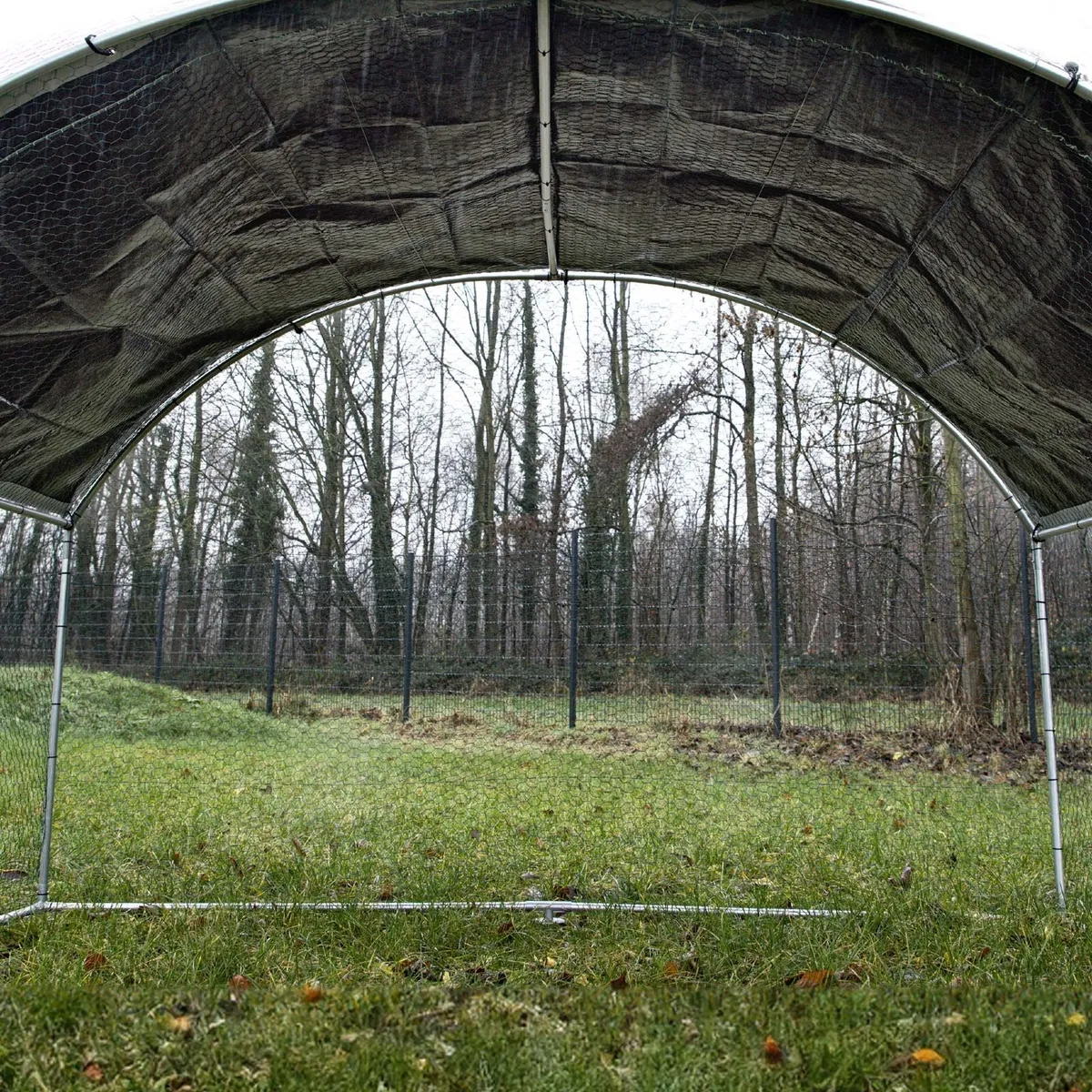 Enclosure for Pets 2x2.295x2m Free Delivery - Image 4