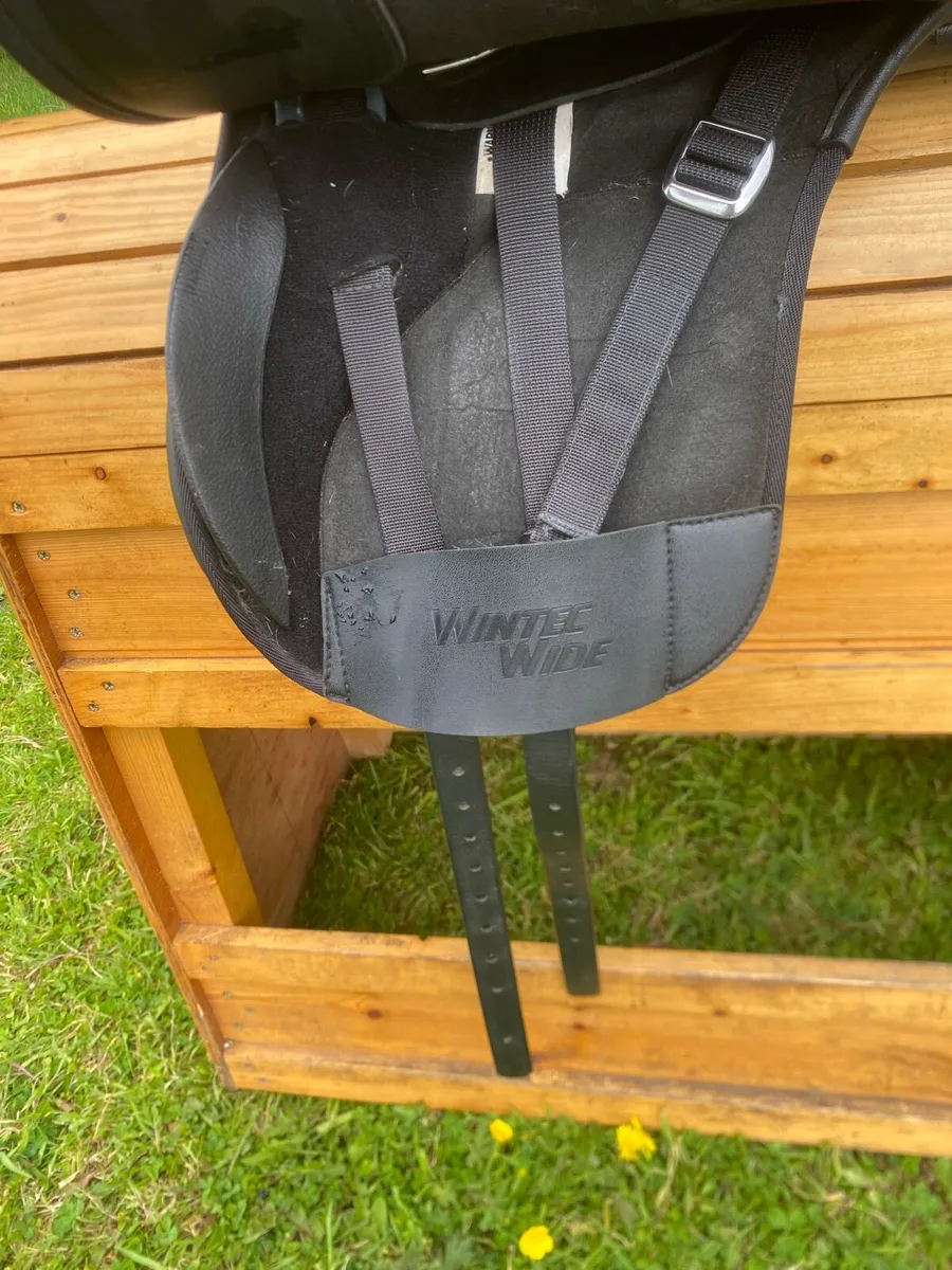Wintec wide 16” as new pony saddle - Image 3